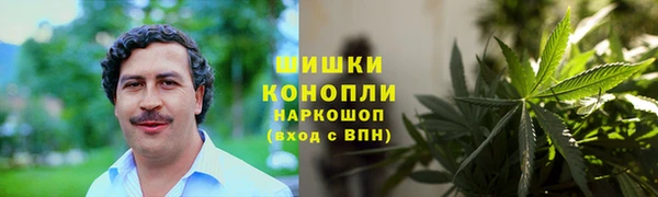 мяу мяу мука Богданович