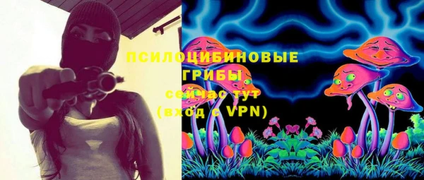 jwh Богородск